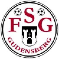 FSG Gudensberg