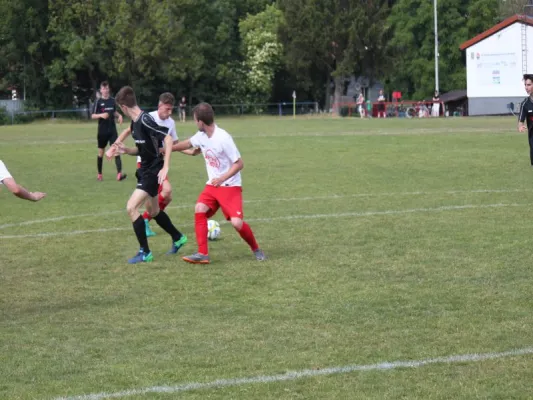 VFL Kassel : TSV Hertingshausen