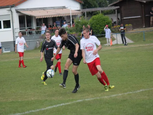 VFL Kassel : TSV Hertingshausen