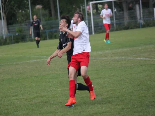 VFL Kassel : TSV Hertingshausen