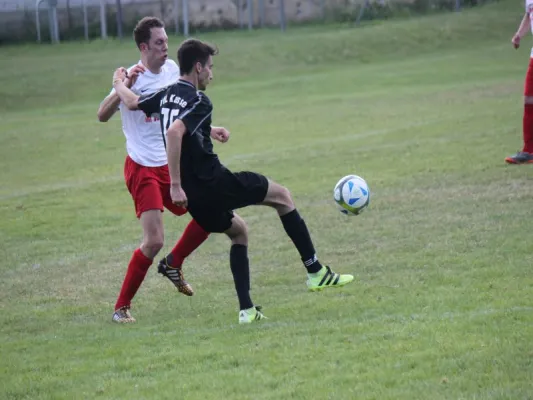 VFL Kassel : TSV Hertingshausen