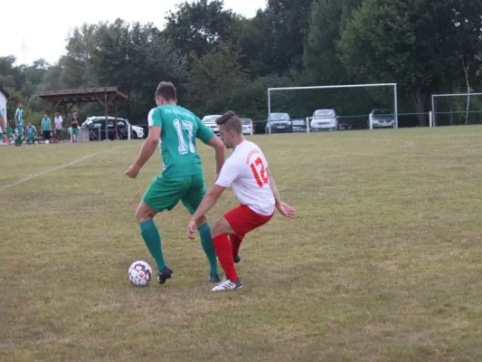 FSG Eder/Ems 07/ TSV Hertingshausen