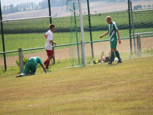 FSG Eder/Ems 07/ TSV Hertingshausen