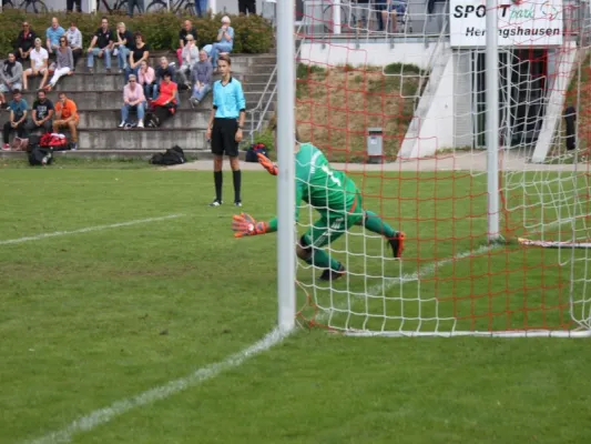 TSV Hertingshausen : TSV Rothwesten II