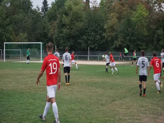 TSG Wilhelmshöhe vs. TSV Hertingshausen