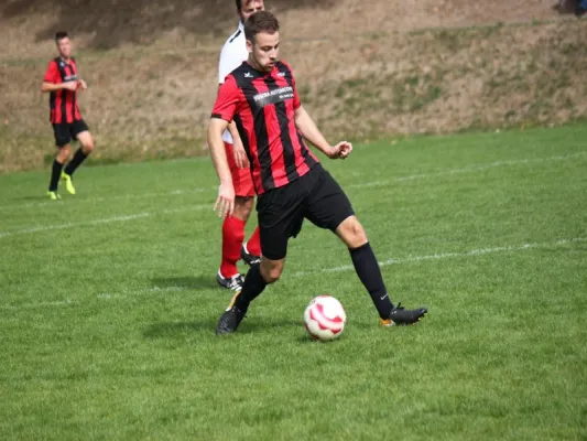 TSV Hertingshausen vs. CSC 03 Kassel II