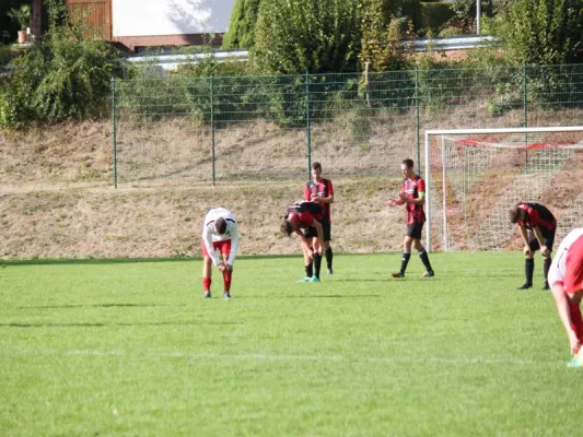 TSV Hertingshausen vs. CSC 03 Kassel II