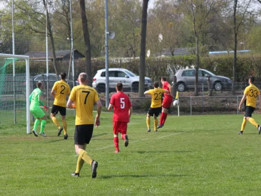 Fortuna Kassel vs. TSV Hertingshausen