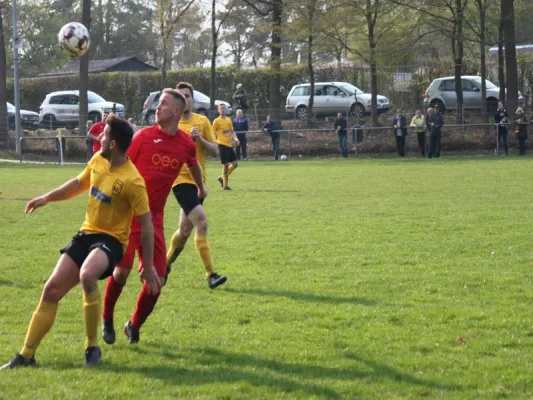 Fortuna Kassel vs. TSV Hertingshausen