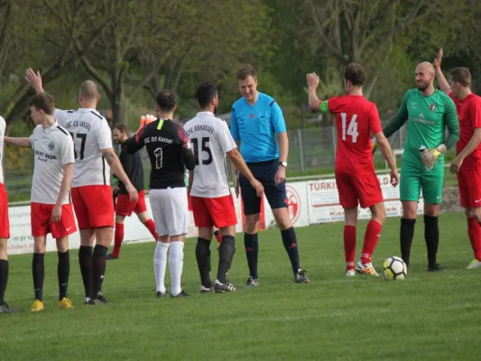 CSC 03 Kassel II vs. TSV Hertingshausen