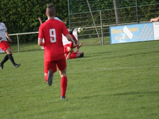 CSC 03 Kassel II vs. TSV Hertingshausen