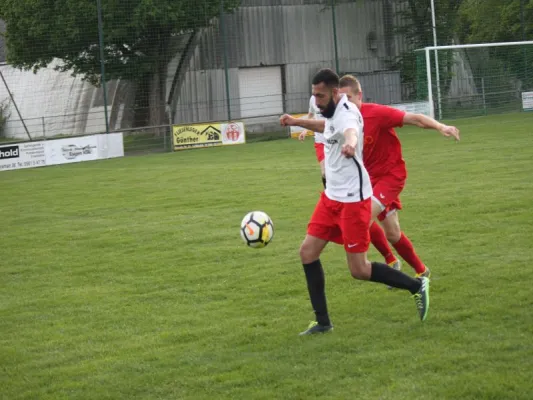 CSC 03 Kassel II vs. TSV Hertingshausen