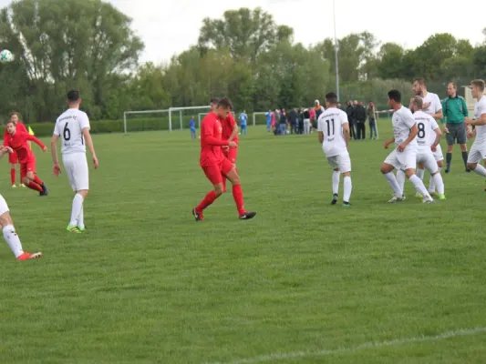 AFC Kassel vs. TSV Hertingshausen