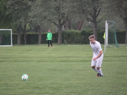 AFC Kassel vs. TSV Hertingshausen