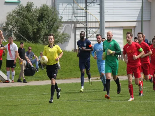 TSV Hertingshausen vs. BC Sport Kassel