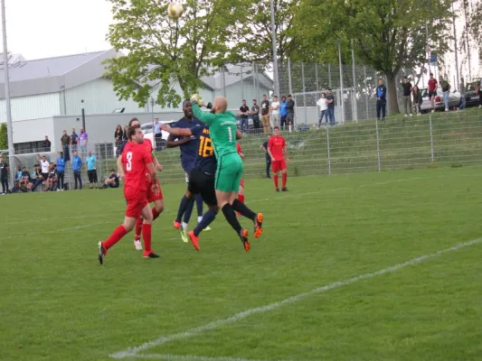 TSV Hertingshausen vs. BC Sport Kassel