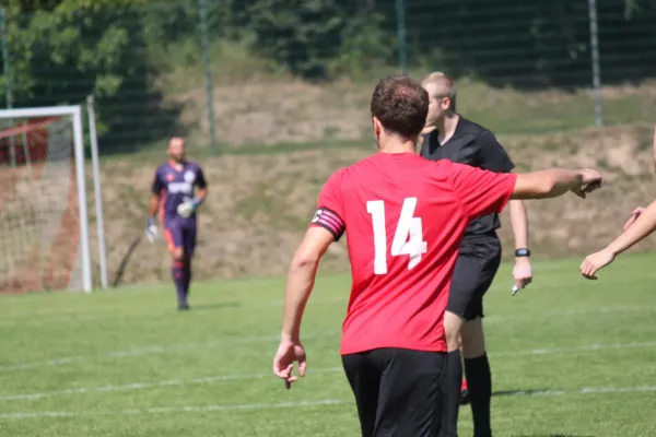 TSV Hertingshausen vs. TSV Mengsberg