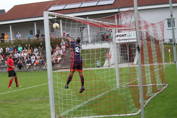 TSV Hertingshausen vs. TSV Mengsberg