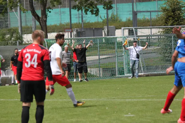 TSV Hertingshausen II vs. BC Sport Kassel II