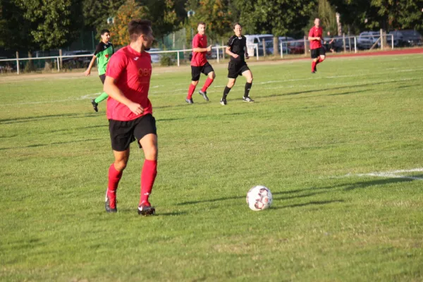 FV Felsberg/L./N. vs. TSV Hertingshausen