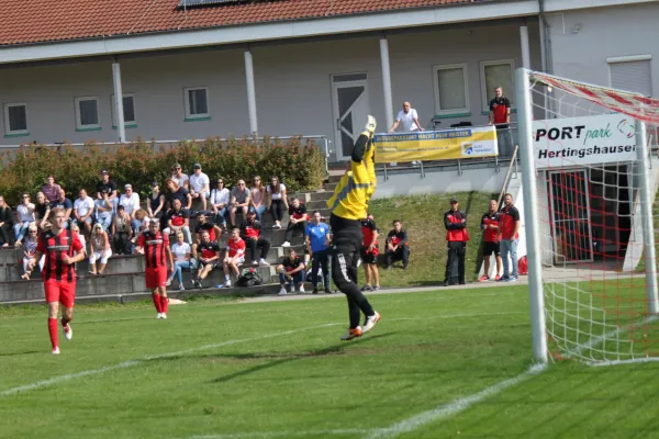 TSV Hertingshausen II vs. SG Söhrewald