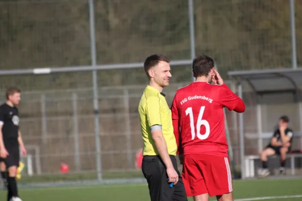 TSV Hertingshausen vs. FSG Gudensberg