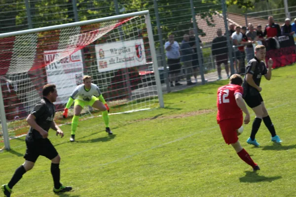 TSV Hertingshausen vs. SG Bad Wildungen/Friedr.