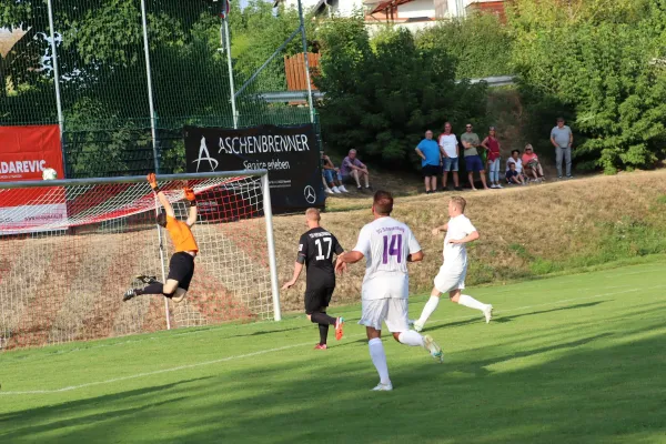 TSV Hertingshausen vs. SG Schauenburg