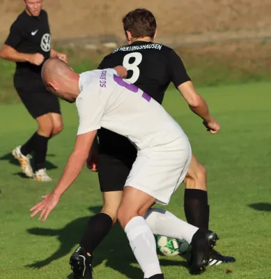 TSV Hertingshausen vs. SG Schauenburg