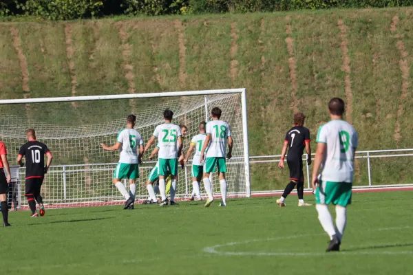 TSV Hertingshausen vs. TSV Heiligenrode