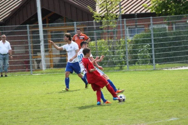Heimspiel gegen Hajduk Ks.