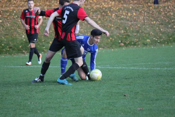 30.10.2016 TSV Hertingshausen vs. TSV Wolfsanger