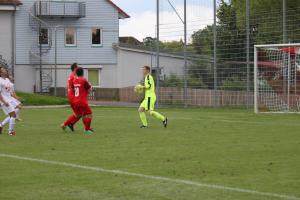 22.07.2017 TSV Hertingshausen vs. FC Overberge