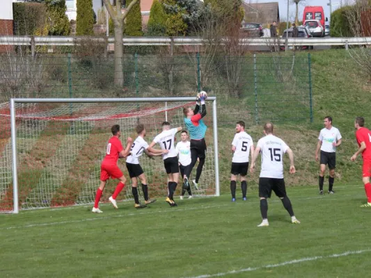 TSV Hertinghausen vs. SG Söhrewald