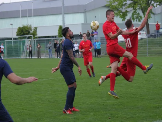 TSV Hertingshausen vs. BC Sport Kassel