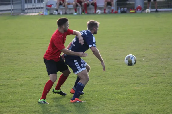 TSV Hertingshausen vs. SG Bad Wildungen/Friedrichs