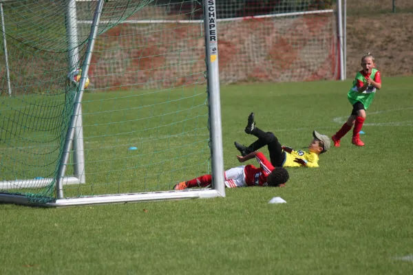 TSV Hertingshausen vs. SVH Kassel III.