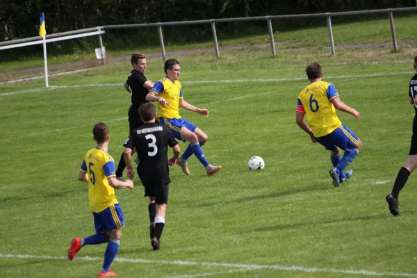 1. FC Schwalmstadt vs. TSV Hertingshausen