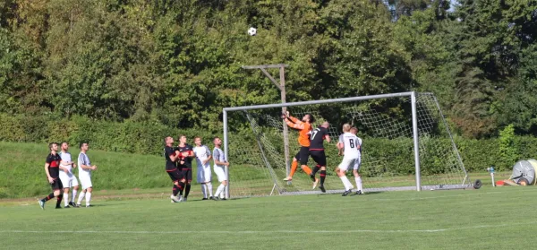 Tuspo Grebenstein vs. TSV Hertingshausen