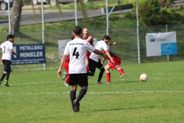 TSV Hertingshausen II vs. Tuspo Waldau