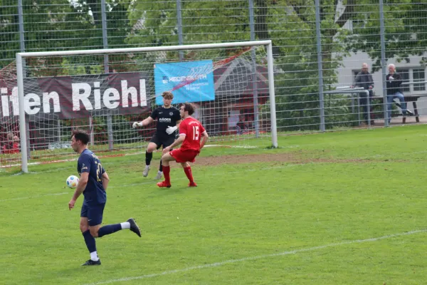 TSV Hertingshausen vs. TSV Rothwesten