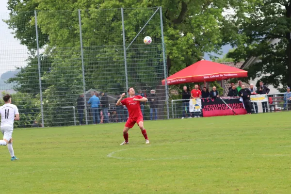 19.05.2024 TSV Hertingshausen vs. Eintr. Baunatal