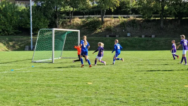 06.10.2024 TSV Hertingshausen vs. TSV Zierenberg