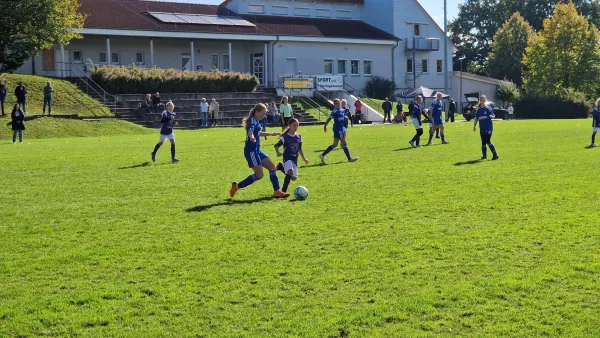 06.10.2024 TSV Hertingshausen vs. TSV Zierenberg