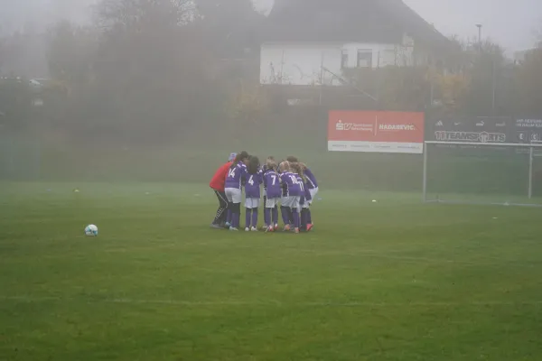 10.11.2024 TSV Hertingshausen vs. TSV Obermelsungen