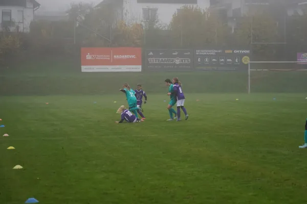 10.11.2024 TSV Hertingshausen vs. TSV Obermelsungen