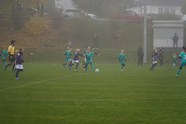 10.11.2024 TSV Hertingshausen vs. TSV Obermelsungen