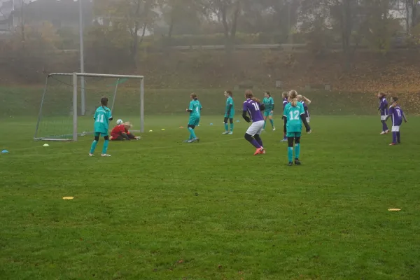 10.11.2024 TSV Hertingshausen vs. TSV Obermelsungen