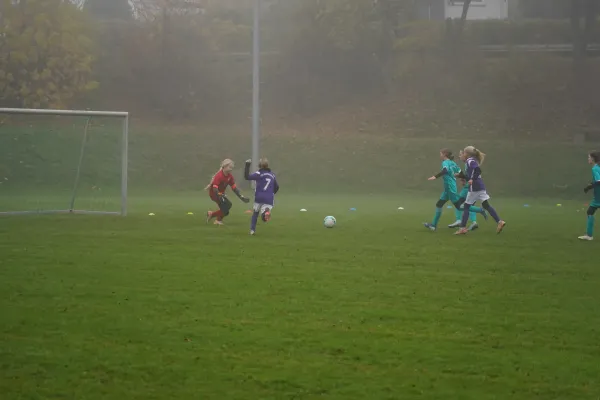 10.11.2024 TSV Hertingshausen vs. TSV Obermelsungen