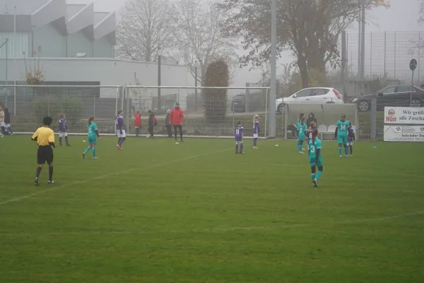 10.11.2024 TSV Hertingshausen vs. TSV Obermelsungen